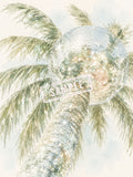 Palm Reverie